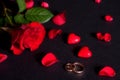 Wedding rings and rose petals