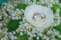 Wedding rings on background of flowers Royalty Free Stock Photo