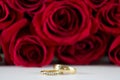 Wedding rings and roses. Royalty Free Stock Photo