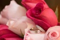 Wedding Rings in Roses Royalty Free Stock Photo