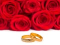 Wedding rings and roses Royalty Free Stock Photo