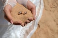 Wedding rings on the sand in the hands of the bride on the beach