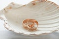 Wedding rings in seashell Royalty Free Stock Photo