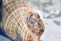 Wedding rings in the seashells for marine ceremony