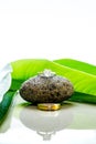 Wedding rings set on a stone with green leaves and reflection. Royalty Free Stock Photo