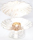 Wedding rings in a shell Royalty Free Stock Photo