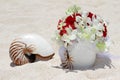 Wedding rings on a shell on beach Royalty Free Stock Photo