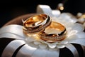 Wedding rings in silver and gold, set against a shimmering bokeh backdrop Royalty Free Stock Photo