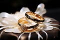 Wedding rings in silver and gold, set against a shimmering bokeh backdrop Royalty Free Stock Photo