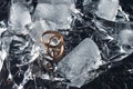 Wedding rings with splashes of water and pieces of ice. Wedding concept Royalty Free Stock Photo