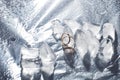 Wedding rings with splashes of water and pieces of ice. Wedding concept Royalty Free Stock Photo