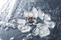 Wedding rings with splashes of water and pieces of ice. Wedding concept Royalty Free Stock Photo