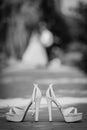 Wedding rings Royalty Free Stock Photo