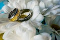 Wedding rings surrounded by various wedding details.