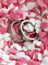 Wedding rings in sweet sugar hearts