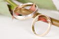 Wedding rings on thorns Royalty Free Stock Photo