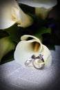 Wedding Rings together on Bible page with Calla Lily