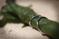 Wedding rings on a vine leaf Royalty Free Stock Photo