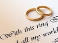 Wedding rings and vow Royalty Free Stock Photo