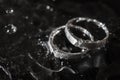 Wedding rings with water drops on a dark. Royalty Free Stock Photo