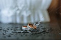 Wedding rings with water drops falling on them Royalty Free Stock Photo