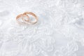 Wedding rings on wedding card, on a white wedding dress Royalty Free Stock Photo