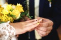 Wedding rings, wedding ceremony, ring on bride`s hand Royalty Free Stock Photo