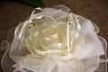 Wedding rings on white beautiful cushion in the form of a rose Royalty Free Stock Photo