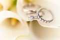 Wedding Rings on White Flowers Royalty Free Stock Photo