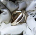 Wedding rings of white gold close up, wedding accessories