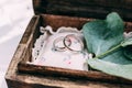 Wedding rings from white gold in a wooden box filled with moss, Royalty Free Stock Photo