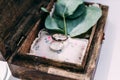 Wedding rings from white gold in a wooden box filled with moss, Royalty Free Stock Photo