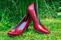 Wedding rings and women shoes in the grass