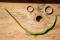 Wedding rings on a wooden board next to a green leaf Royalty Free Stock Photo