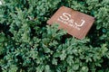 Wedding rings in a wooden box filled with moss on the green grass Royalty Free Stock Photo