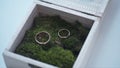 Wedding rings in a wooden box filled with moss on the green grass. Wedding. Wedding ring. Vintage engagement ring with a Royalty Free Stock Photo