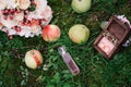 Wedding rings in a wooden box in the grass with apples and perfumes with a wedding bouquet of flowers Royalty Free Stock Photo