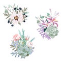 Wedding seasonal flowers vector design bouquets.