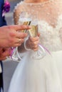 Hands of bride and groom clink glasses with champagne Royalty Free Stock Photo