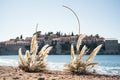 Wedding semi-arch stands on a sandy shore overlooking the island of Sveti Stefan. Montenegro