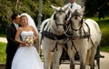 Wedding series, carriage Royalty Free Stock Photo