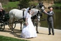 Wedding series, carriage Royalty Free Stock Photo