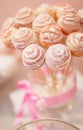 Wedding set of lollipops in pink Royalty Free Stock Photo