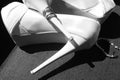 Wedding shoes Royalty Free Stock Photo