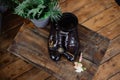 Wedding shoes of the groom on a dark background