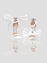 Wedding Shoes of Runaway Bride