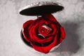 Wedding silver box with the rings in the red rose bud Royalty Free Stock Photo