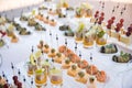 Wedding snacks. Big festive table Royalty Free Stock Photo