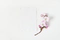 Wedding spring styled stock photo. Feminine desktop mockup scene with blossoming cherry tree branch and blank paper