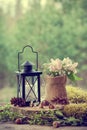 Wedding still life in rustic style. Forest on background.